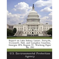 Report on Lake Sidney Lanier, Forsyth, Gwinnett, Hall, and Lumpkin Counties, Georgia: EPA Region IV, Working Paper No. 293 - Paperback