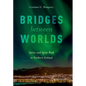 Bridges Between Worlds: Spirits and Spirit Work in Northern Iceland - Paperback