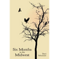 Six Months in the Midwest - Paperback