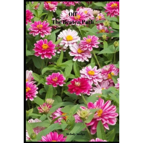 Off The Beaten Path: 4 year Blood Glucose Tracker - Paperback