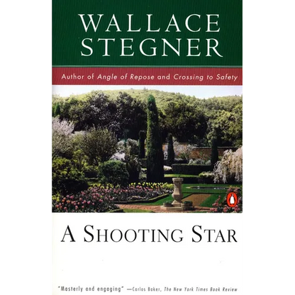 A Shooting Star - Paperback