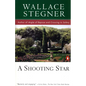 A Shooting Star - Paperback