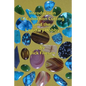Introduction to Cabochon Cutting and the Lapidary Hobby - Paperback