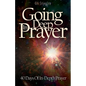 Going Deep In Prayer: 40 Days of In-Depth Prayer - Paperback
