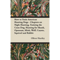 How to Train American Hunting Dogs - Chapters on Night Hunting, Training the Coon Dog, Hunting for Skunk, Opossum, Mink, Wolf, Coyote, Squirrel and Ra - Paperback
