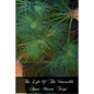 The Life Of The Venerable Anna Maria Taigi: The Roman Matron - Paperback