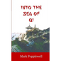 Into the Sea of Qi - Paperback