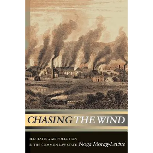 Chasing the Wind: Regulating Air Pollution in the Common Law State - Paperback