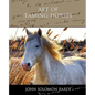 Art of Taming Horses - Paperback