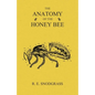 The Anatomy of the Honey Bee - Paperback