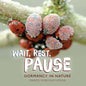 Wait, Rest, Pause: Dormancy in Nature - Library Binding
