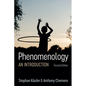 Phenomenology: An Introduction - Hardcover