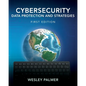 Cybersecurity - Data Protection and Strategies: First Edition - Paperback