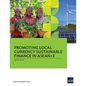 Promoting Local Currency Sustainable Finance in Asean+3 - Paperback