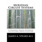 Meridian Circuit Systems: A Channel Based Approach to Pattern Identification - Paperback