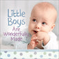 Little Boys Are Wonderfully Made - Hardcover