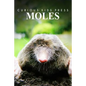 Moles - Curious Kids Press: Kids book about animals and wildlife, Children's books 4-6 - Paperback