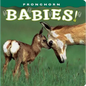 Pronghorn Babies! - Board Book