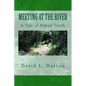Meeting at the River: A Tale of Naked Truth - Paperback