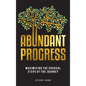 Abundant Progress: Maximising the gradual steps of the journey - Hardcover