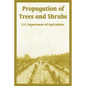Propagation of Trees and Shrubs - Paperback