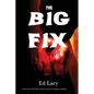 The Big Fix - Paperback