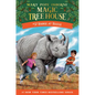 Rhinos at Recess - Hardcover