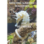 Breeding & Raising Seahorses: For Beginners - Paperback