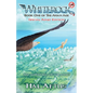 Whiterock: Book One of the Avian Age (Adult Edition) - Paperback