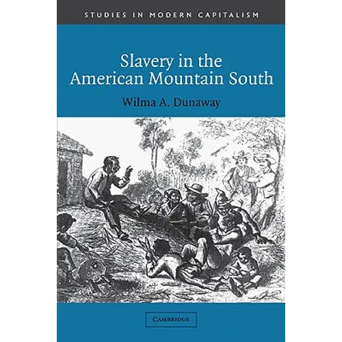 Slavery in the American Mountain South - Paperback