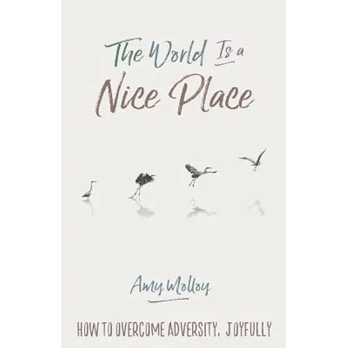 The World Is a Nice Place: How to Overcome Adversity, Joyfully - Paperback