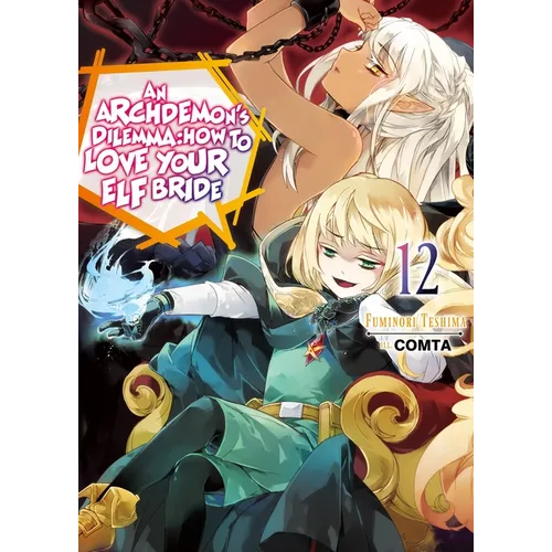 An Archdemon's Dilemma: How to Love Your Elf Bride: Volume 12 (Light Novel) - Paperback