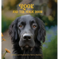 Rook and the Magic Door: Written and Illustrated by Danica Barreau - Hardcover