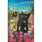 Honeymoon Hearsay - Paperback