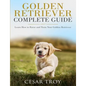 Golden Retriever Complete Guide: Learn How to Raise and Train Your Golden Retriever - Paperback