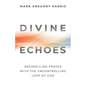 Divine Echoes: Reconciling Prayer With the Uncontrolling Love of God - Paperback