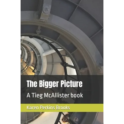 The Bigger Picture: A Tieg McAllister book - Paperback