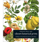 Instant Wall Art Vibrant Botanical Prints: 45 Ready-To-Frame Illustrations for Your Home Décor - Paperback