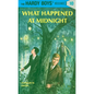 What Happened at Midnight - Hardcover