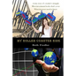 My Roller Coaster Ride: A true story of a trader's struggle Most investment books don't cover What investors need to know - Paperback