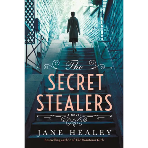 The Secret Stealers - Paperback