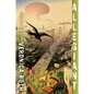 Allegiant Anniversary Edition - Paperback