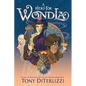 A Hero for Wondla: Volume 2 - Paperback