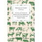 Breeds of Dairy Cattle - A Collection of Articles on Varieties of Cattle for the Dairy Farm - Paperback