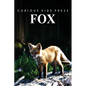 Fox: Amazing Facts about Fox Kids Picture Book - Paperback