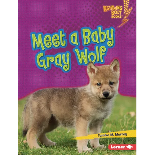 Meet a Baby Gray Wolf - Library Binding