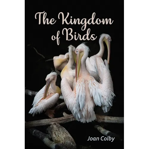 The Kingdom of Birds - Paperback