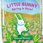 Little Bunny, Spring Is Here! - Board Book