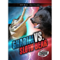 Gharial vs. Sloth Bear - Paperback