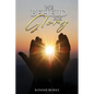 We Beheld His Glory - Paperback